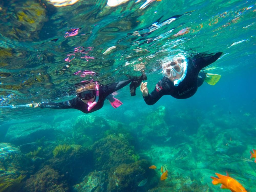snorkeling on Catalina