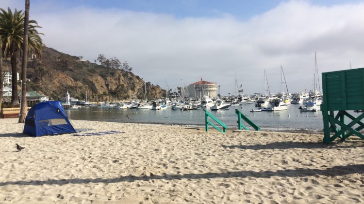an umbrella sitting on top of a sandy beach