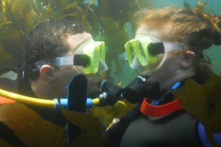 a close up of a person in a swimming pool