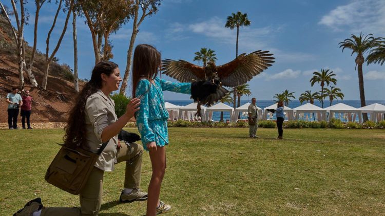 32227041_209678296304708_4868589856604815360_o-750×422 a girl flying a kite in a park