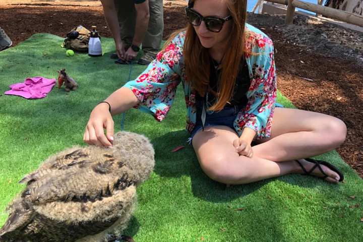 a person sitting on the grass
