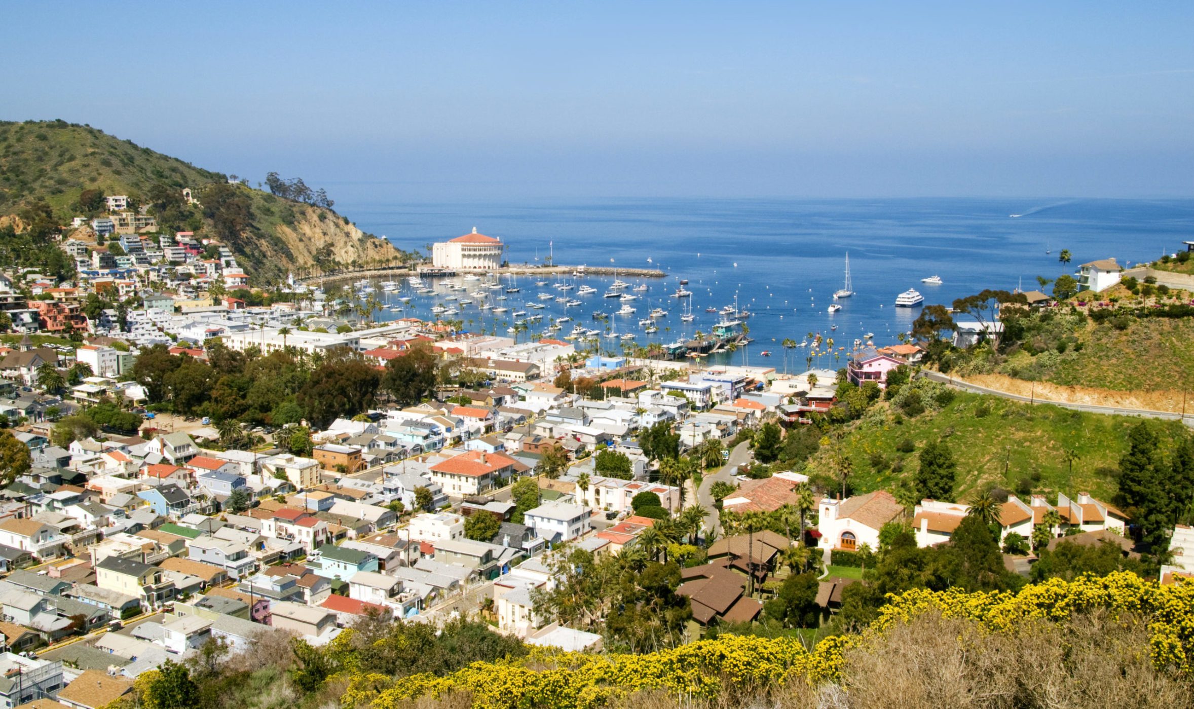 Tours & Activities | Catalina Tours