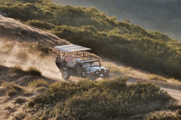a tractor in a field