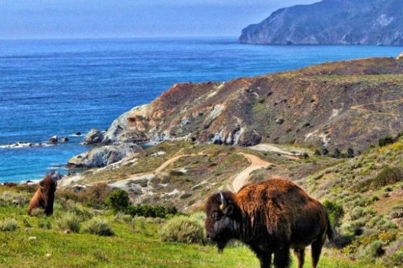 a large body of water with a mountain in the background