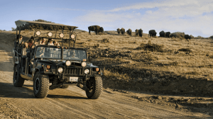 a truck driving down a dirt road