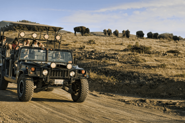 a truck driving down a dirt road