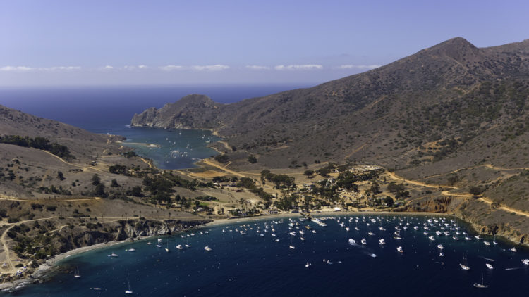 Catalina Island By The Numbers | Catalina Tours