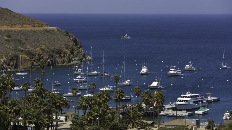Catalina-2007-0541-750×422 a large body of water with a city in the background