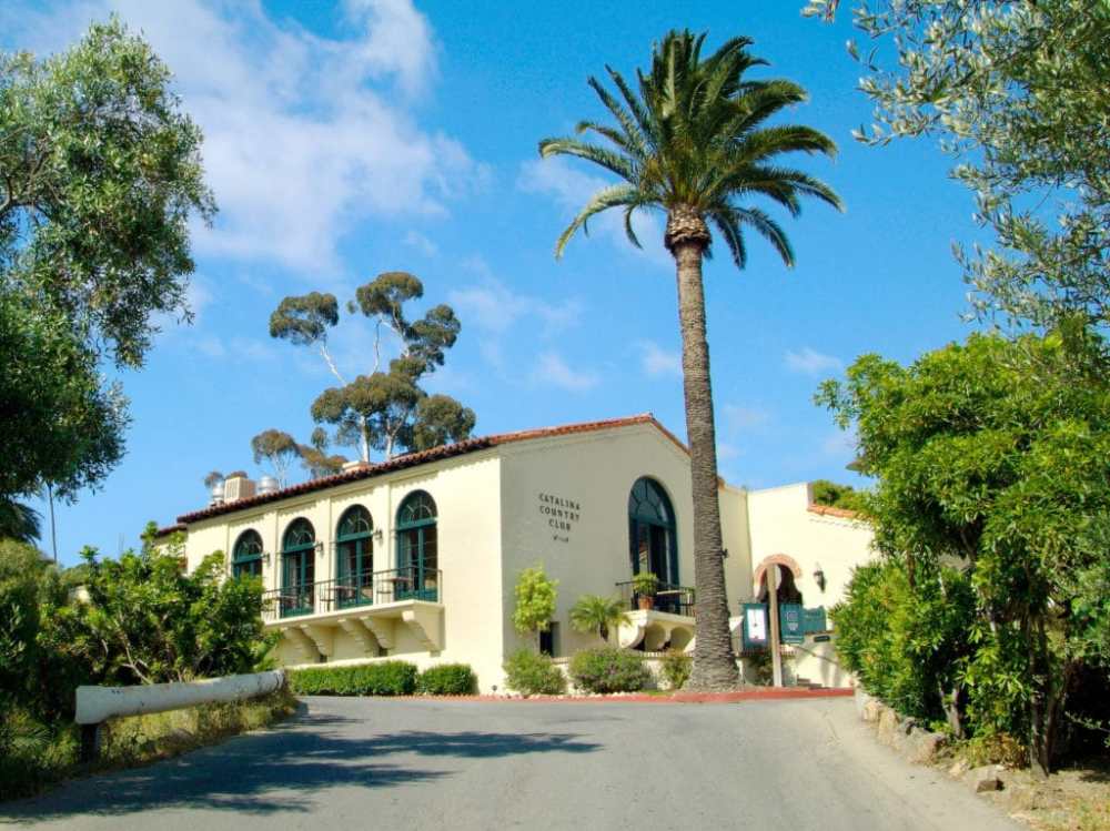 a palm tree in front of a building