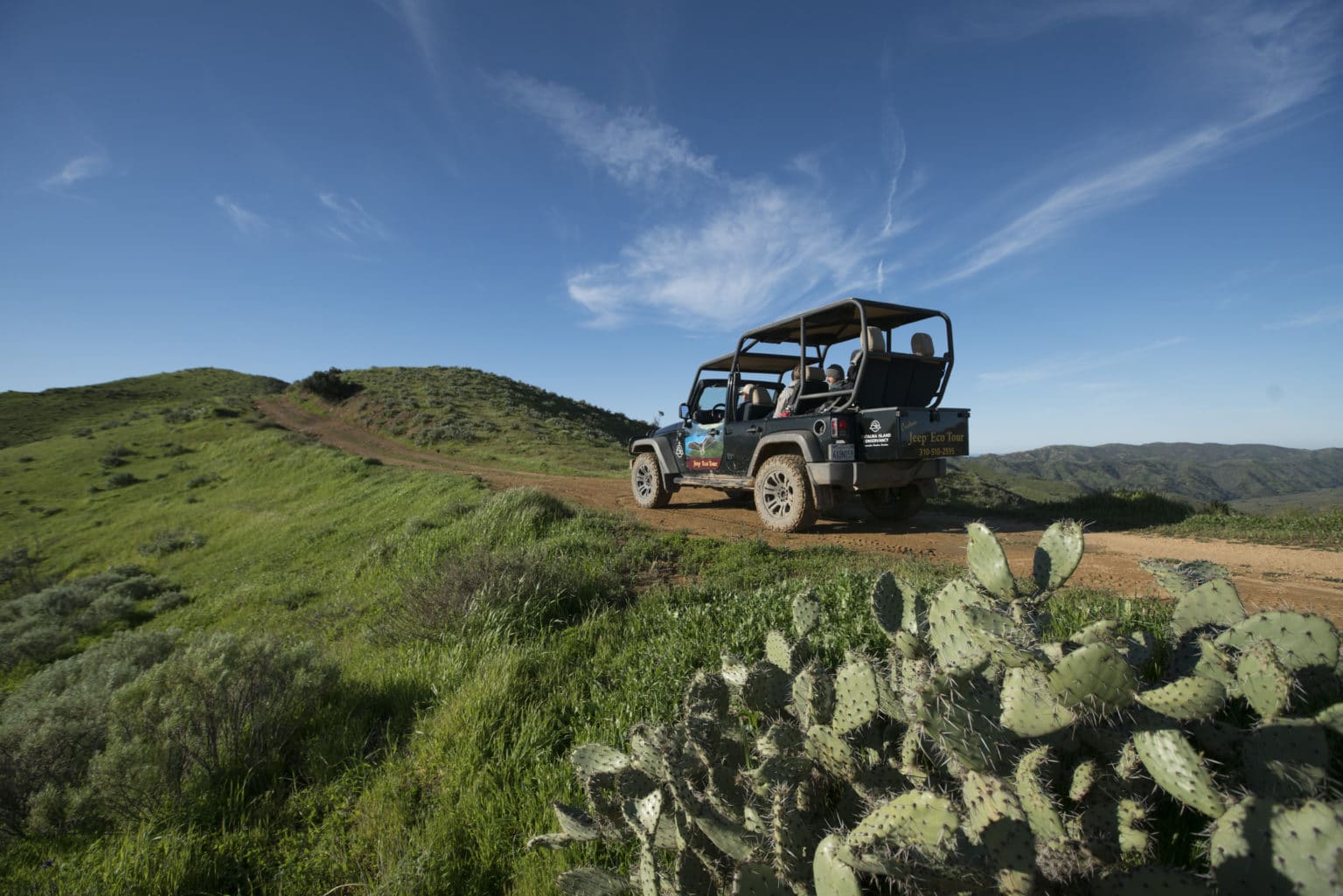 a truck on a grassy hill