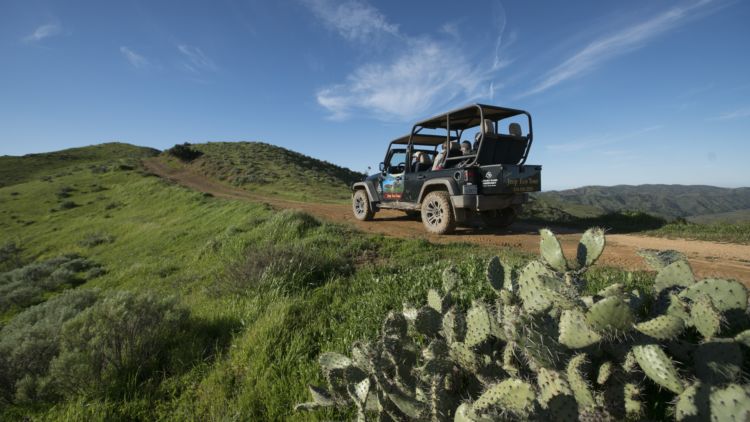 DSC03672-750×422 a truck on a grassy hill