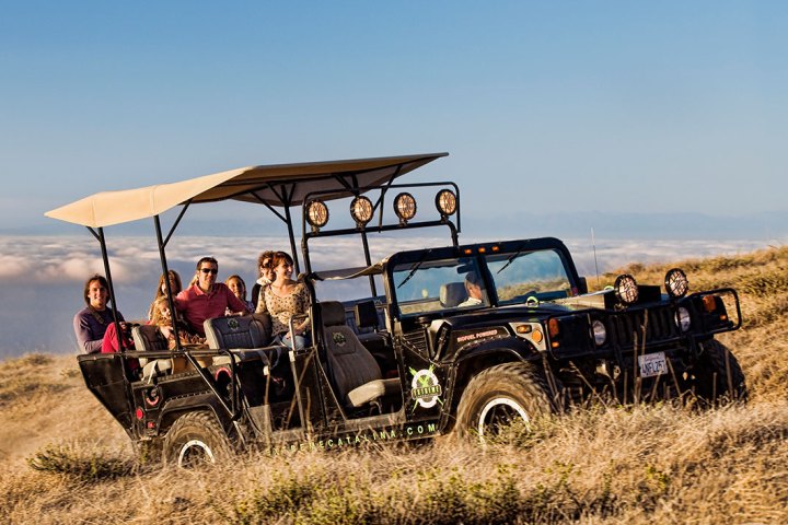 a group of people riding on the back of a truck