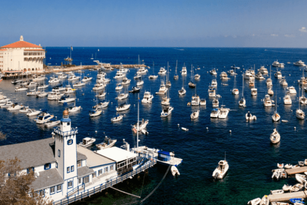 a flock of seagulls flying over a body of water