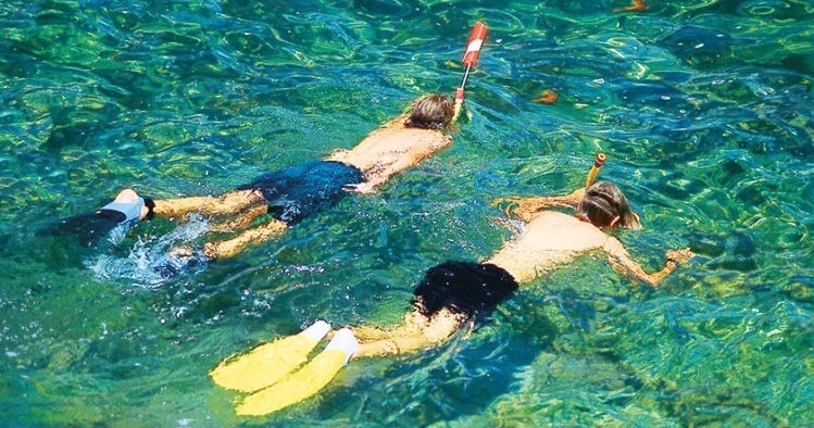 snorkeling on a field trip to Catalina