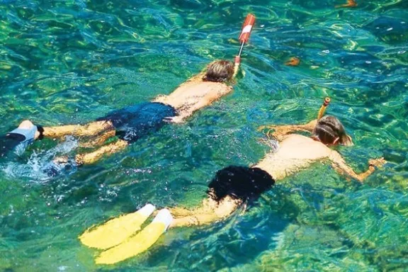 a bird swimming in water