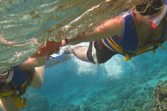 a person swimming in a body of water