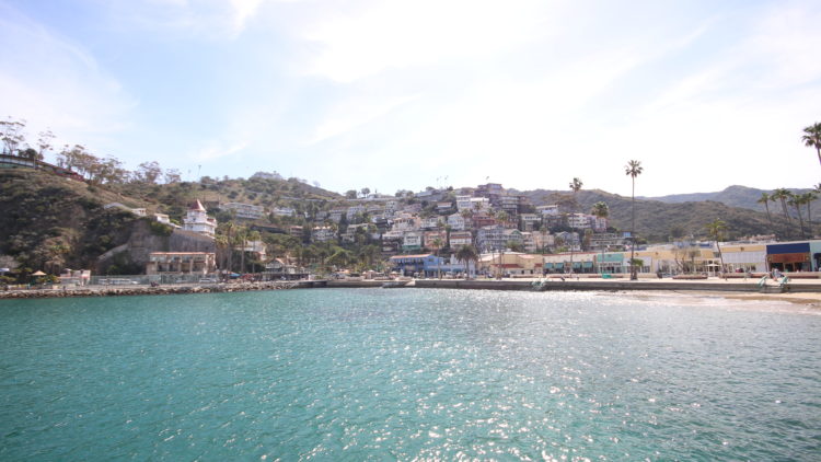 IMG_9579-750×422 a large body of water with a city in the background