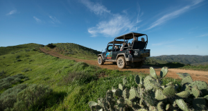 a truck on a grassy hill