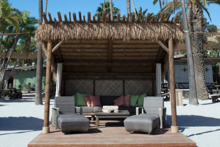 a chair sitting in front of a palm tree