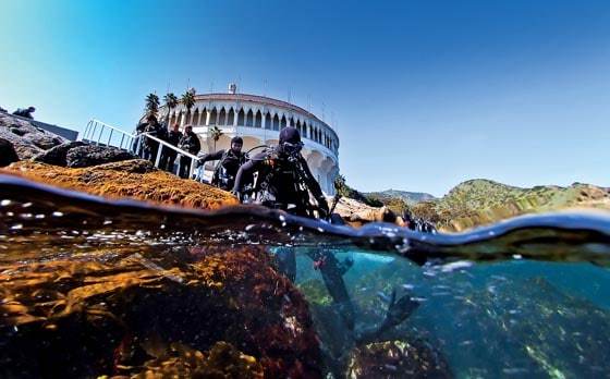 scuba divers at Catalina Island