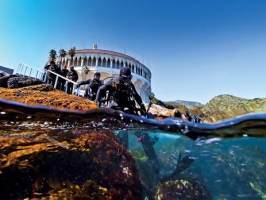 scuba divers at Catalina