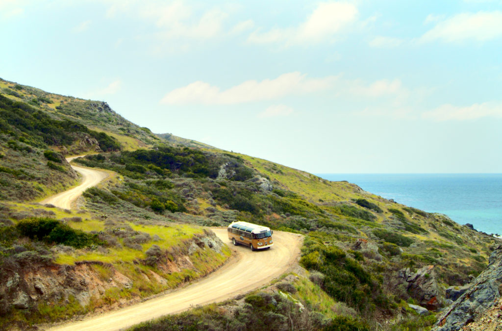 a rocky river with trees on the side of a mountain