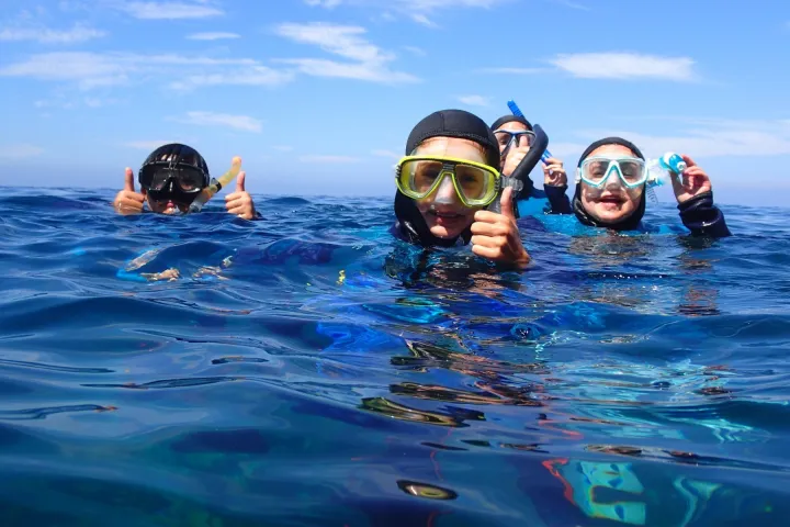 a group of people swimming in a body of water