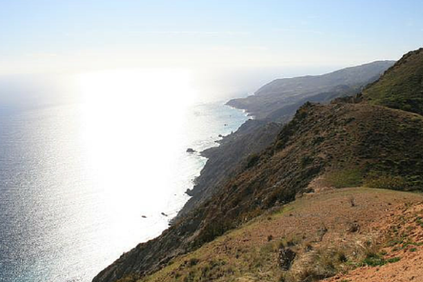 a close up of a hillside next to a body of water