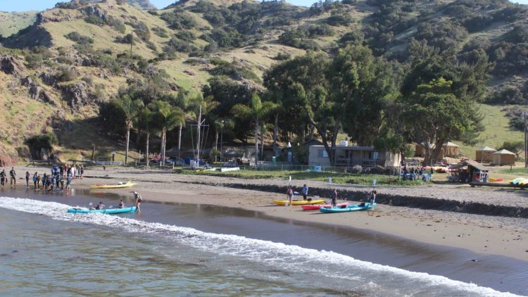 Ultimate-Coastal-Cove-Adventure-750×422 a group of people on a beach near a body of water
