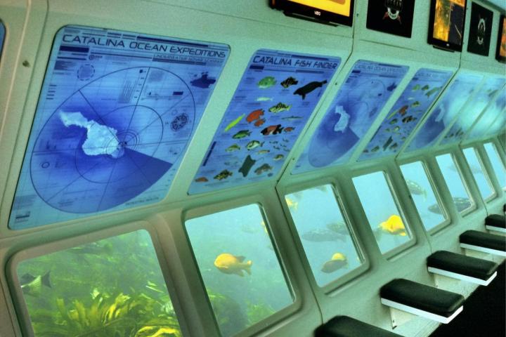 a screenshot of a cell phone