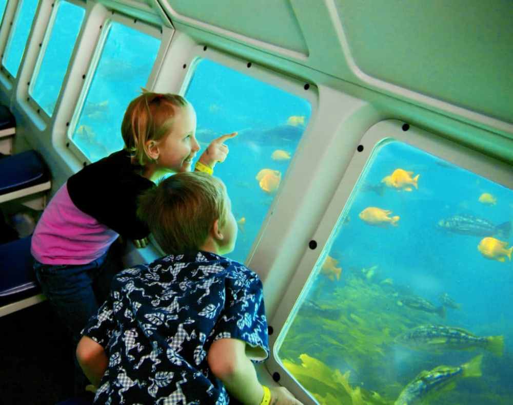 a small child in a semi sub