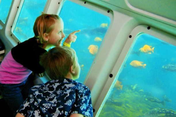 a small child in a car