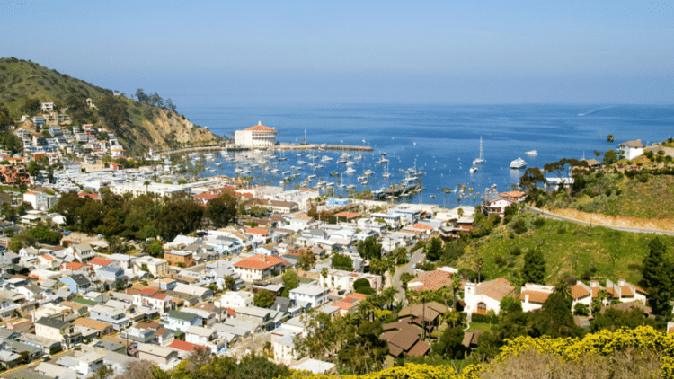 a large body of water with a city in the background