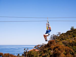 catalina zipline