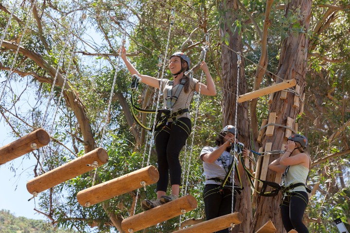 Catalina Aerial Adventure Park Catalina Tours Catalina Aerial Adventure Park Catalina Tours