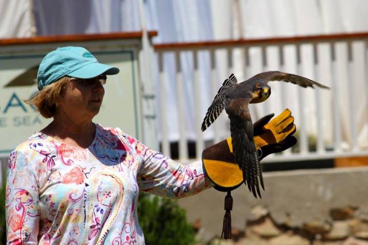 a person holding a frisbee
