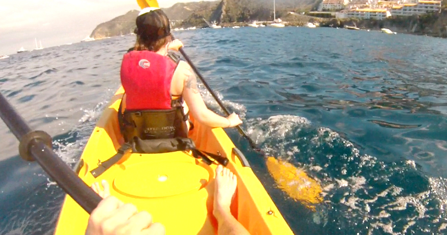 Things to do on Catalina Island in August