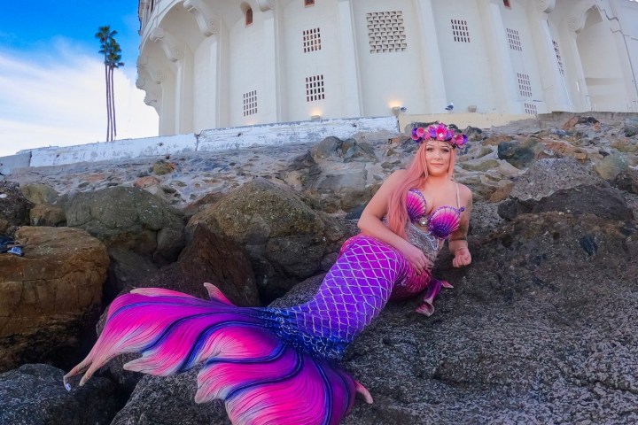 a large stone building with a stuffed animal