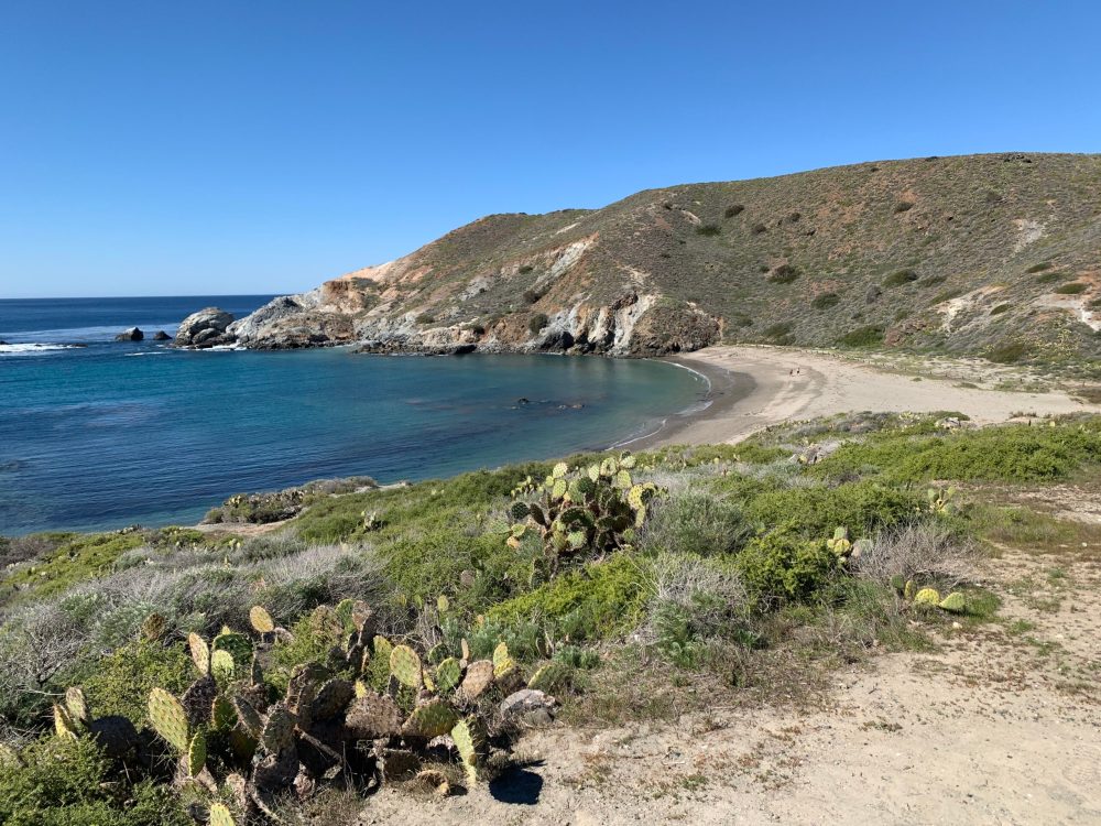 Jeep Tours on Catalina Island