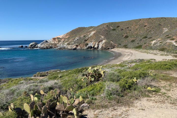 beach on Catalina