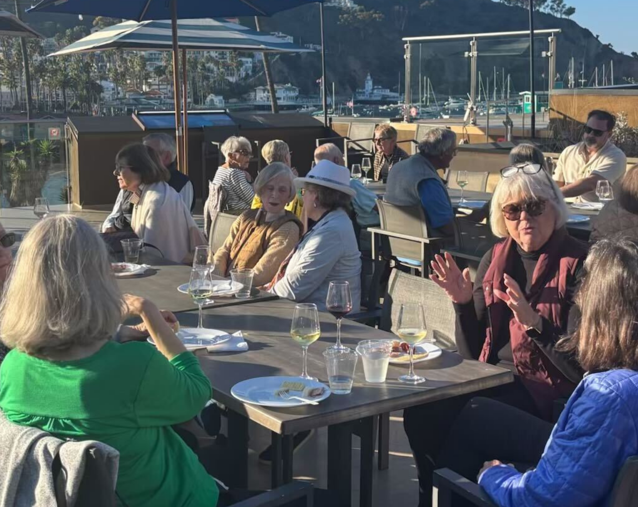 Private Group of people seated at Topside by NDMK outdoors at tables under string lights and umbrellas, with the mountains and palm trees of Catalina Island in background.