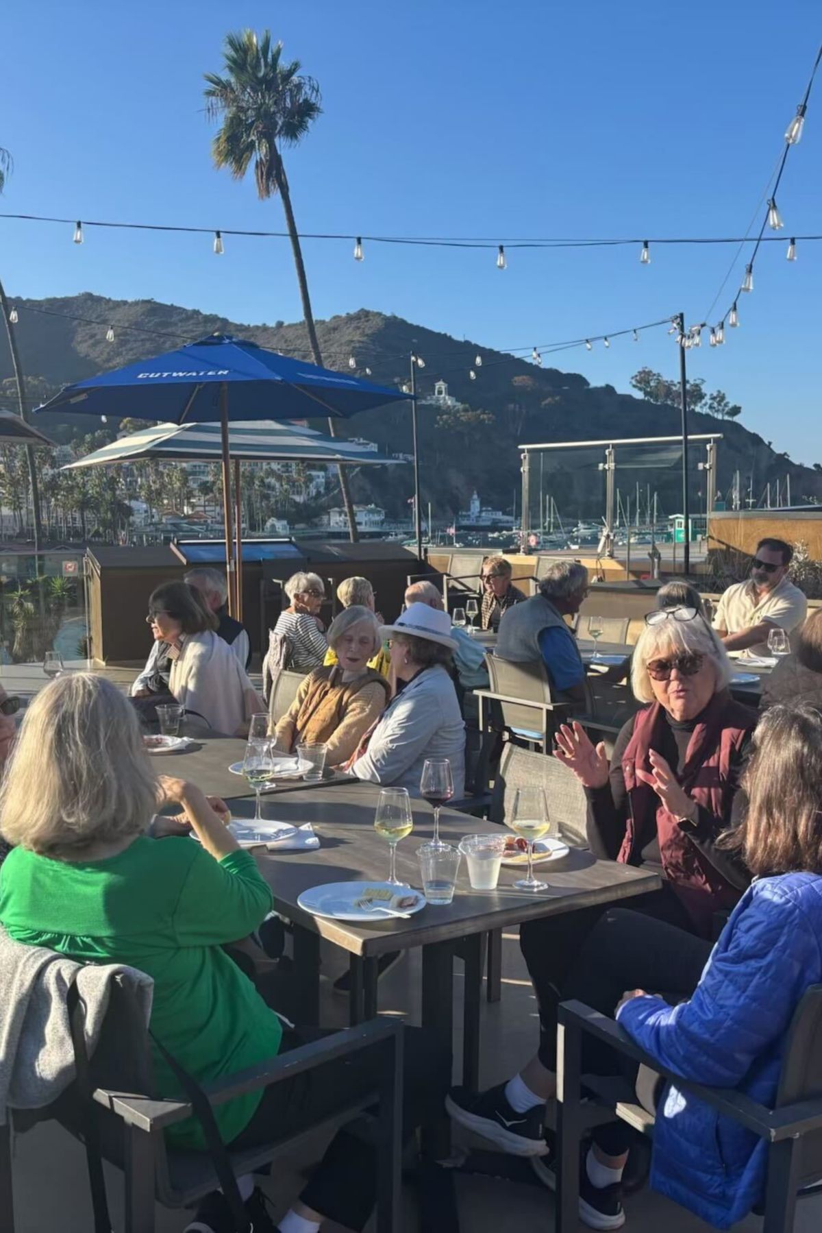 Private Group of people seated at Topside by NDMK outdoors at tables under string lights and umbrellas, with the mountains and palm trees of Catalina Island in background.