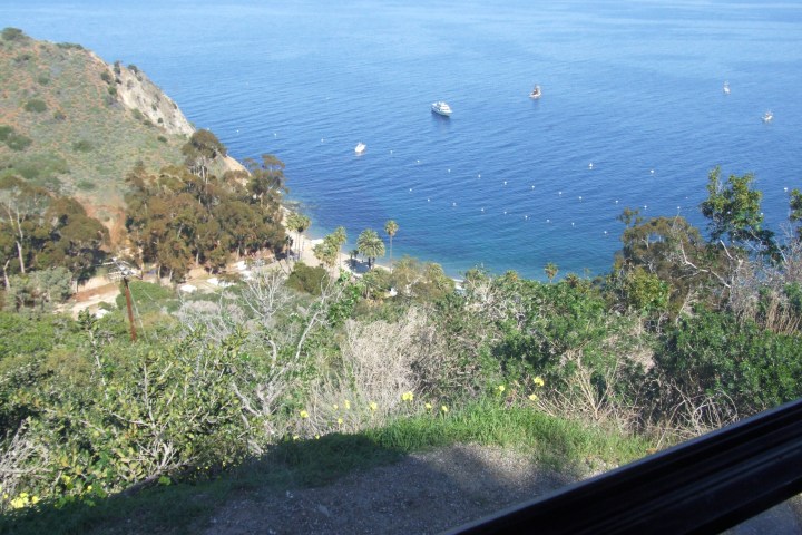 Coastal view from a hilltop with ocean, boats, and trees in foreground.