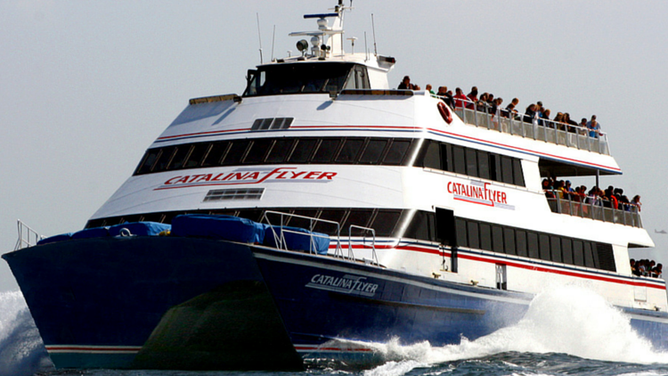 The Catalina Flyer, a blue and white ferry, travels quickly across the water with passengers on board.