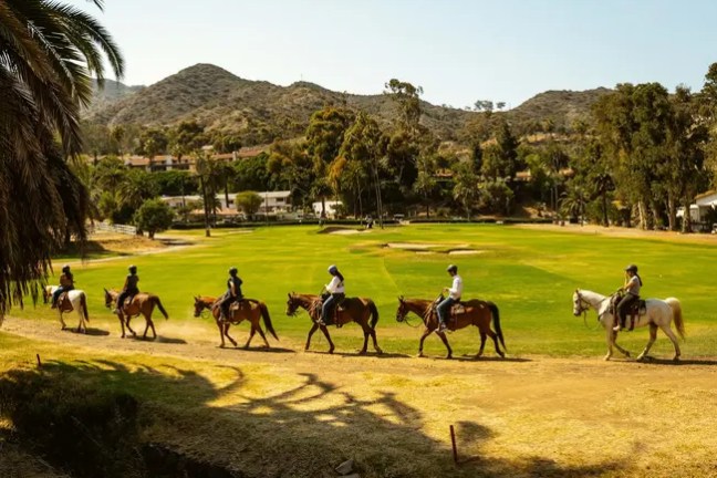 Six people horseback riding in a line on a dirt trail near lush green field and trees.