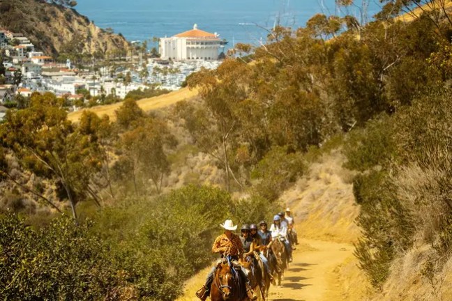 Group horseback riding on a dirt trail by the coast with distant ocean view.